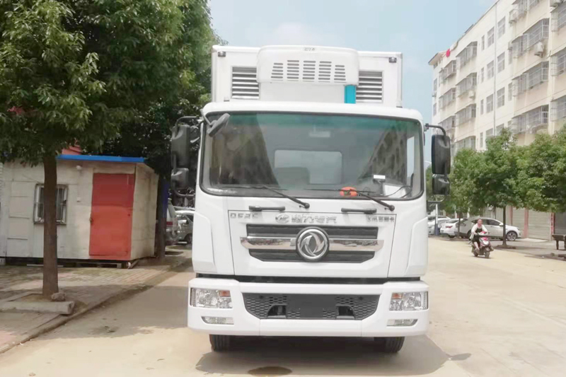 東風(fēng)D9（多利卡）6.8米雛禽運(yùn)輸車(chē)（雞苗）{i}